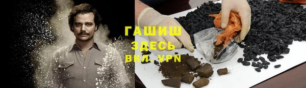 прущие грибы Михайловск