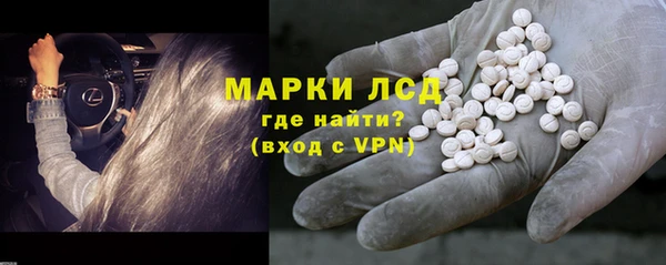 прущие грибы Михайловск