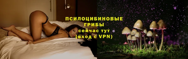 ГАЛЛЮЦИНОГЕННЫЕ ГРИБЫ Ахтубинск