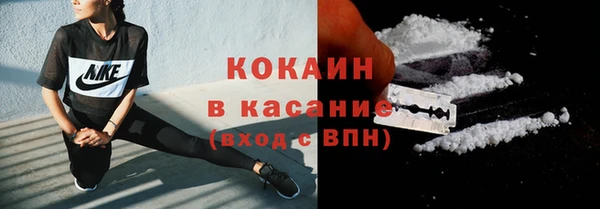 прущие грибы Михайловск