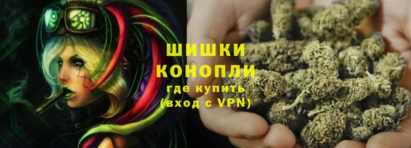 прущие грибы Михайловск