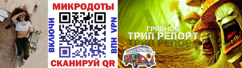 Галлюциногенные грибы Cubensis  Мичуринск 