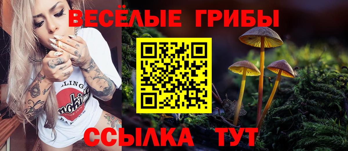 Мичуринск  Псилоцибиновые грибы прущие грибы  Вход с VPN  Псилоцибиновые грибы Magic Shrooms 