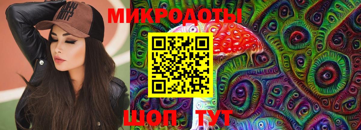 Псилоцибиновые грибы Psilocybe Мичуринск