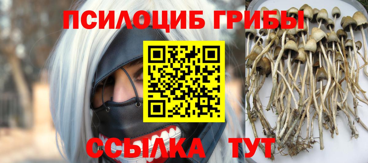 Псилоцибиновые грибы GOLDEN TEACHER Мичуринск